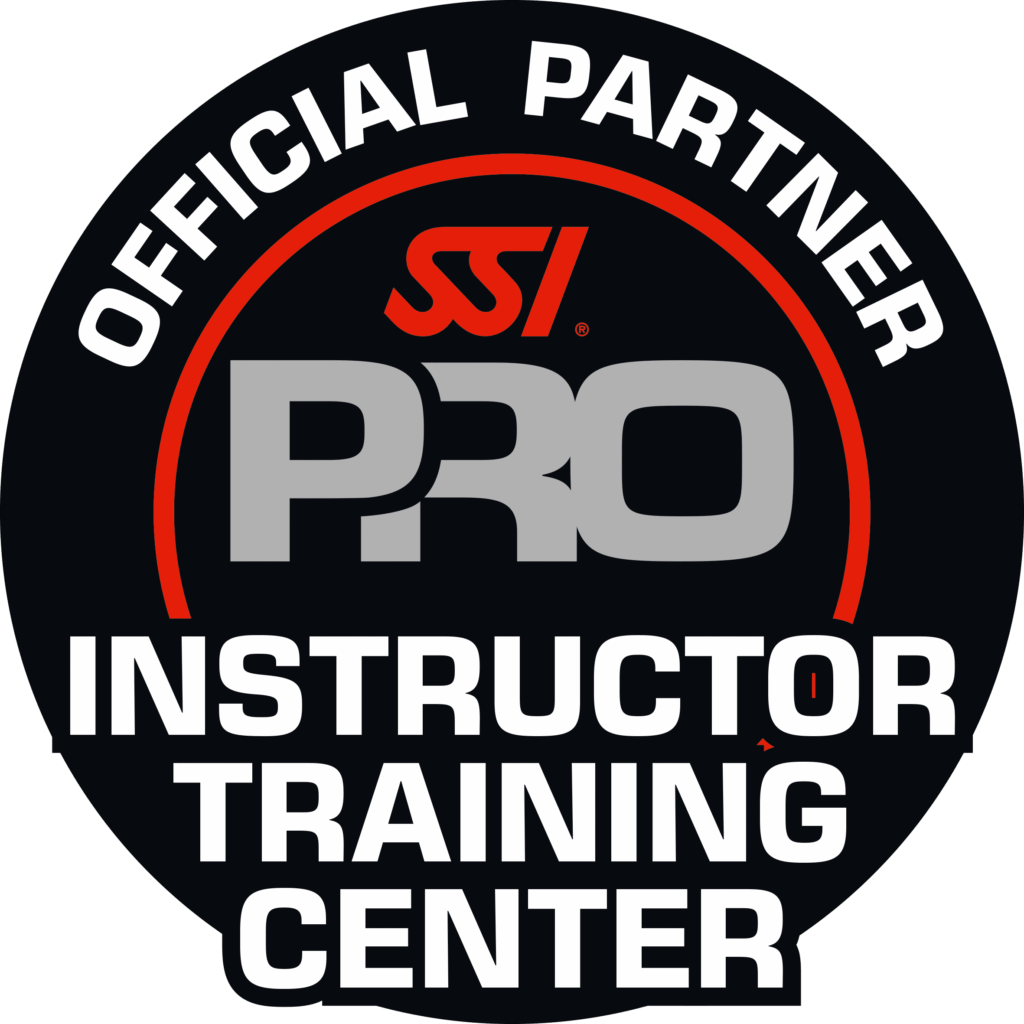 SSI Career Center Logo
