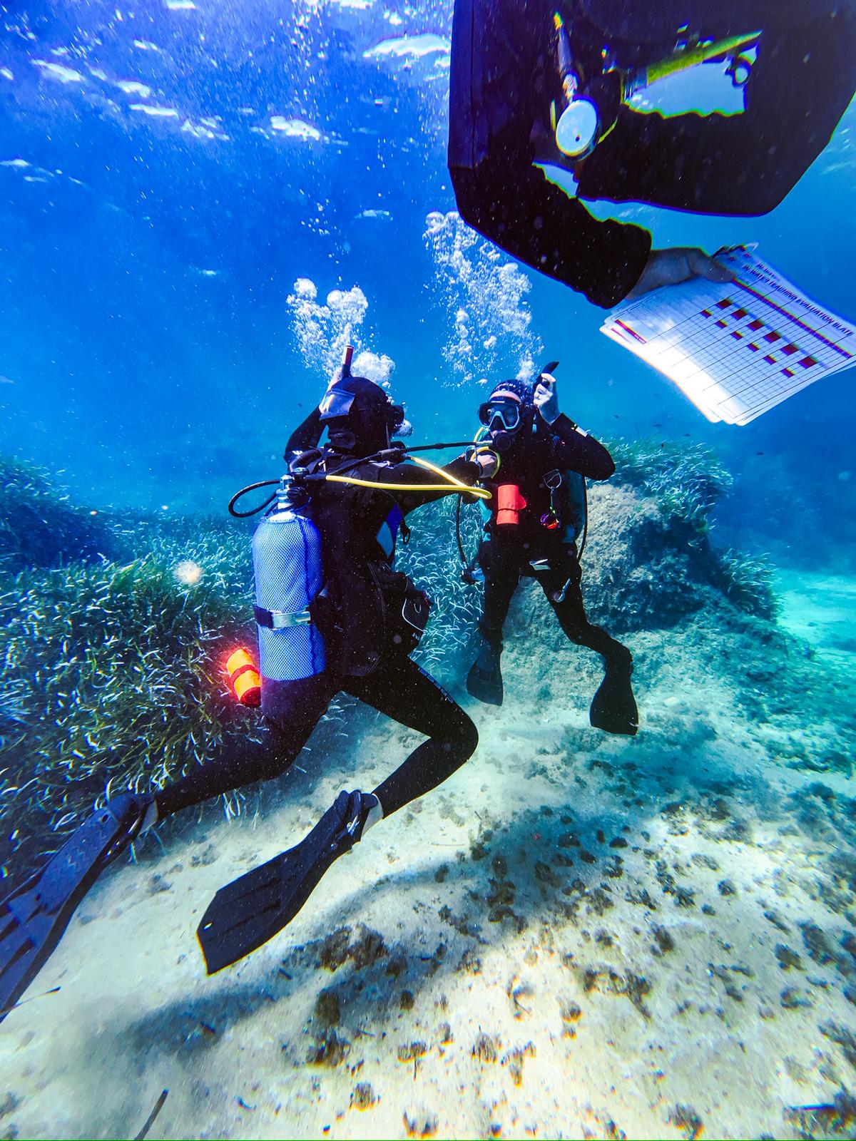 Air Sharing Ascent Demonstration Underwater