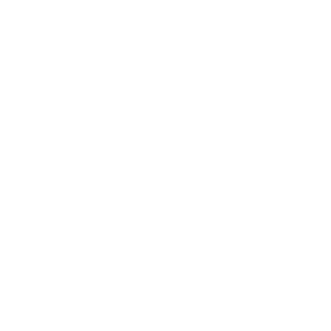 Email Logo