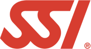 SSI Icon