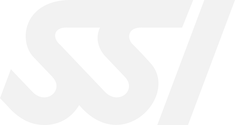 SSI Logo Lightgrey